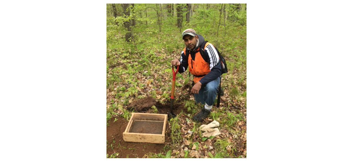 A man in a safety vest kneels in the forest next to a freshly dug hole.