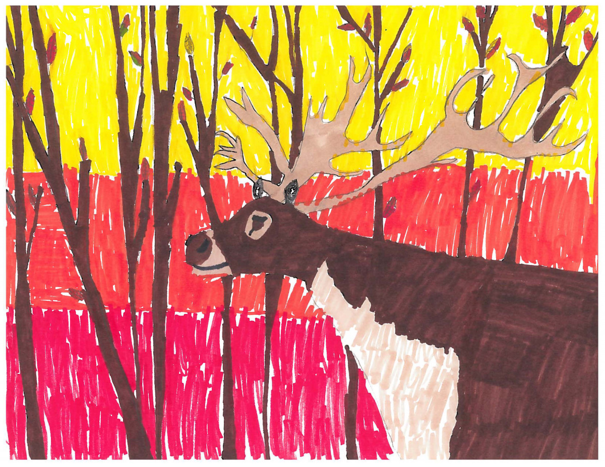 Winning artwork by Genevieve Muldoon