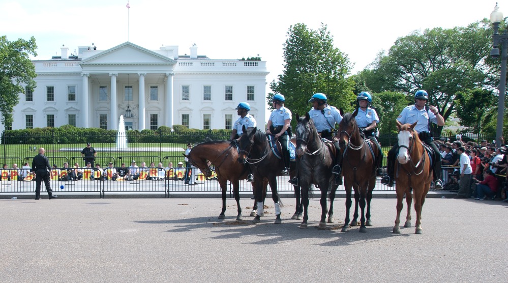 Horse Mounted NPS Police Officers conduct security at a protest in front of the White House
