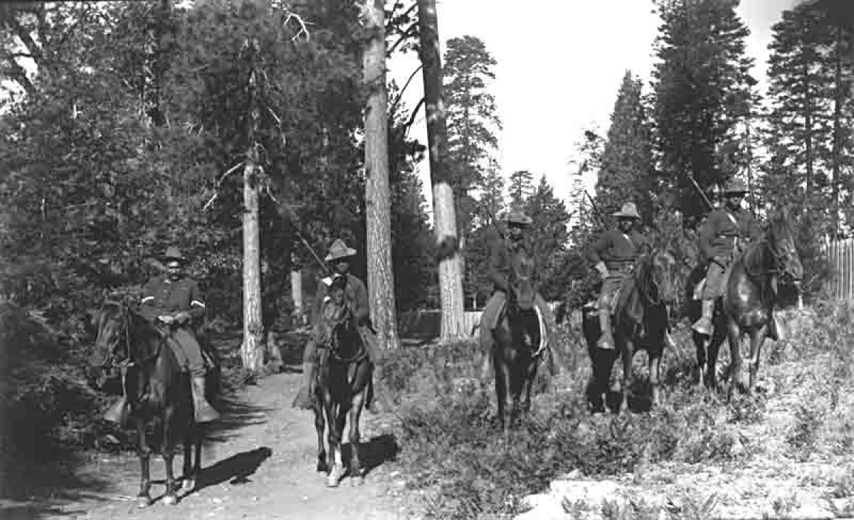 A line of African American soldiers on horseback pose in a line on a dirt trail among weeds with tall trees soaring high behind them.