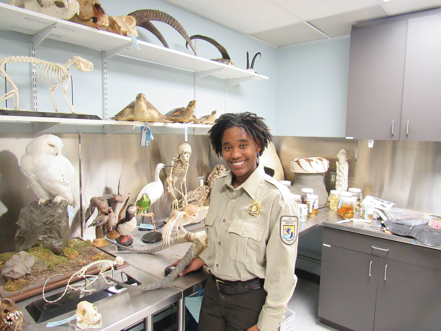 Woman in FWS uniform in lab with stuffed wildlife, animal skeletons