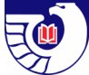 eaglebanner