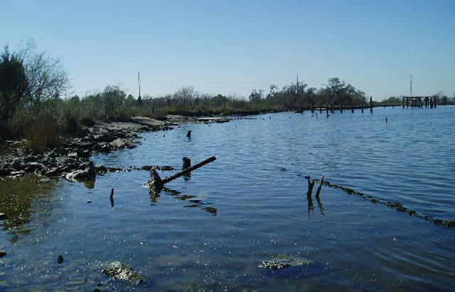 coastal habitat at Baytown Nature Center, near Baytown, Texas